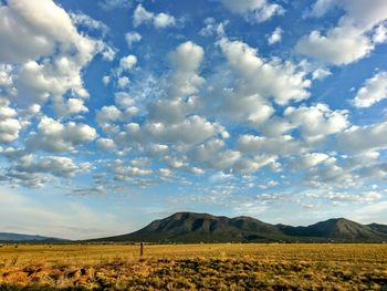 Scenic view of field against sky