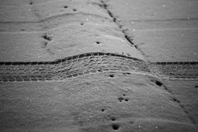 Tire tracks on sand at beach