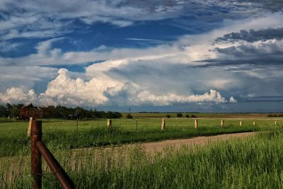 Scenic view of agricultural field against sky