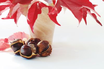 Close-up of cake against white background