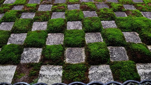 Full frame shot of stone wall