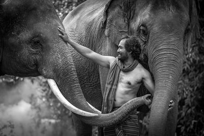 Man with elephants in forest