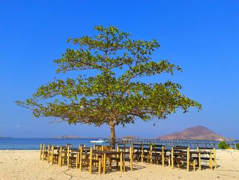 Scenic view of beach against clear blue sky