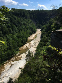 Scenic view of river flowing through rocks