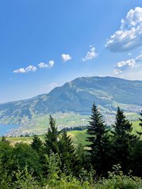 High angle view of trees and mountains against sky