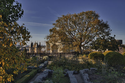 Plants growing in park against sky during autumn