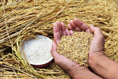 Cropped image of hands holding wheat grains by rice bowl