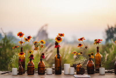 Close-up of decorations on table