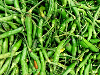 Full frame shot of green chili peppers for sale in market