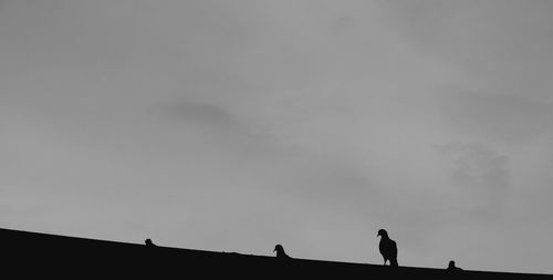 Low angle view of silhouette man against sky