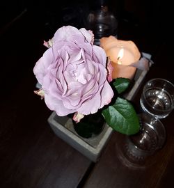 Close-up of rose in vase