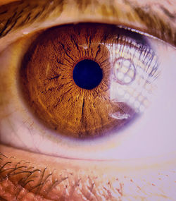 Close-up of human eye