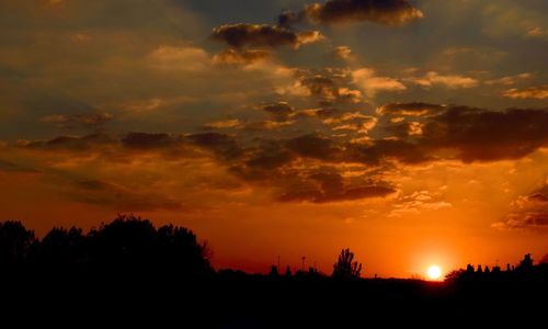 Silhouette trees against dramatic sky during sunset