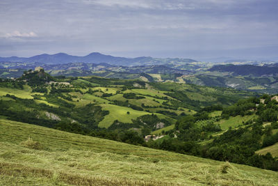 Scenic view of agricultural field against sky