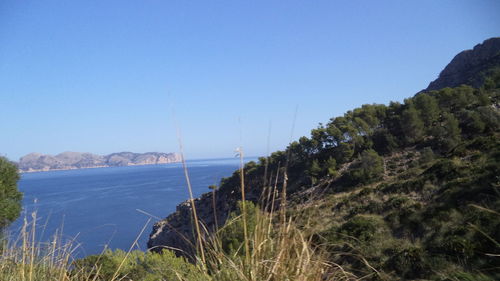 Scenic view of sea against clear sky
