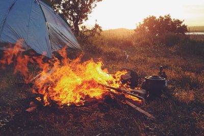 Bonfire on field