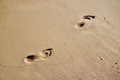 High angle view of footprints on sand at beach