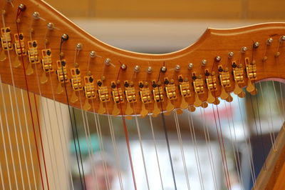 Detail shot of harp