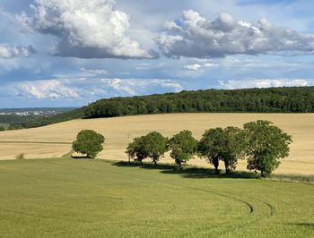 Scenic view of field against sky