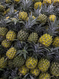 Full frame shot of pineapple