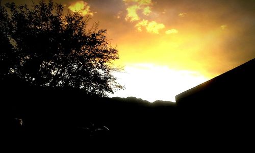 Low angle view of silhouette trees against sky at sunset