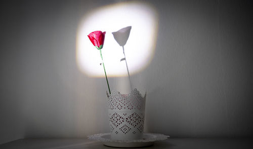 Close-up of rose flower vase on table against wall