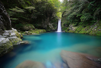 Water flowing through rocks in forest