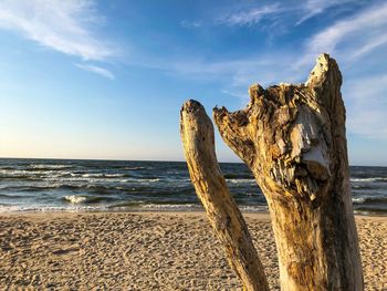 Driftwood on wooden post on beach against sky