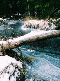 Scenic view of snow covered landscape