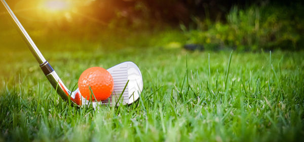 Close-up of golf ball on field