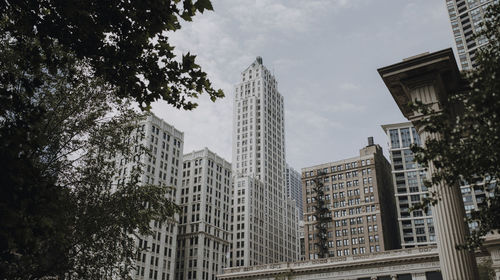 From below chicago cityscape framed by branches of trees with contemporary skyscrapers against blue cloudy sky in summer day