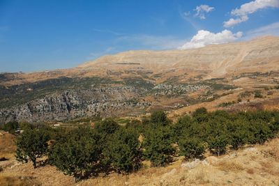 Scenic view of landscape against sky