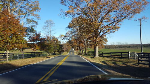 Road amidst trees against clear sky