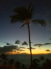 Trees on landscape at sunset