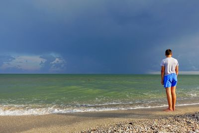 Rear view of man standing on beach against sky