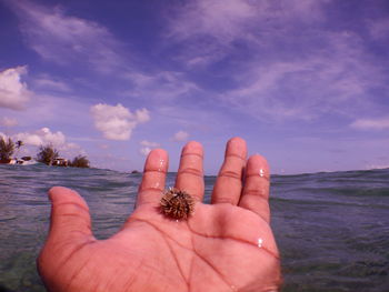 Close-up of hand holding sea urchin against sky
