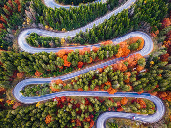 High angle view of road amidst trees in city