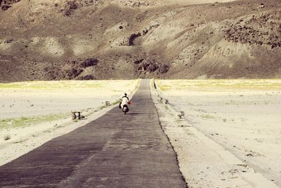 Rear view of people riding bicycle on road