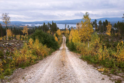 Road amidst trees against sky