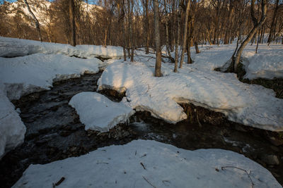 Frozen river stream amidst trees during winter