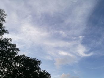 Low angle view of tree against cloudy sky