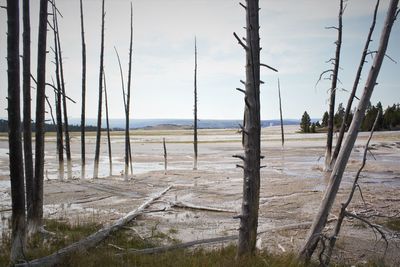 Scenic view of beach against sky
