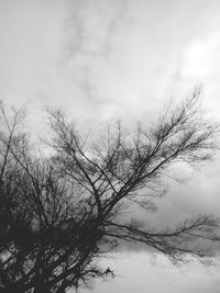 Low angle view of bare trees against cloudy sky