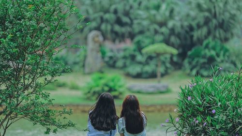 Rear view of woman with plants against trees