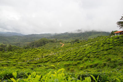 Scenic view of landscape against sky