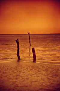 Silhouette people at beach against sky during sunset