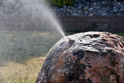 Close-up of water on tree