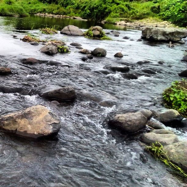 water, rock - object, stream, nature, flowing water, beauty in nature, river, tranquility, scenics, forest, flowing, tranquil scene, rock, waterfront, motion, rock formation, day, idyllic, stone, non urban scene