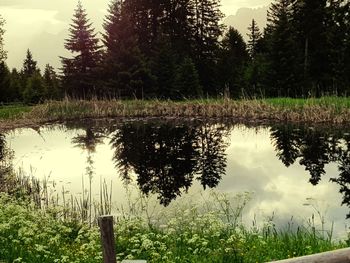 Scenic view of lake in forest against sky