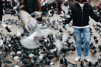 Low section of people and birds